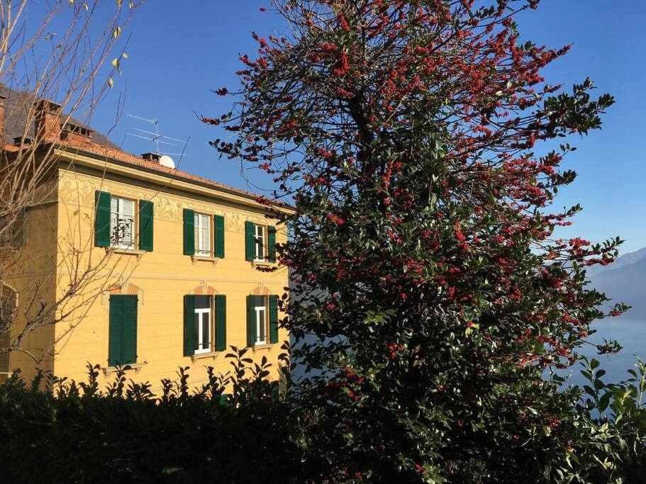 Villa Peroni Lake Como Classic With Swimming Pool Argegno Eksteriør billede